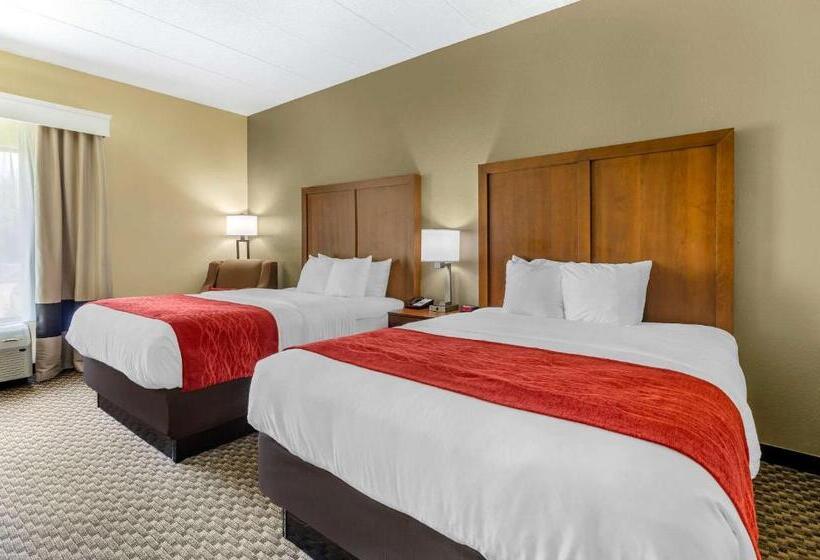 Quarto Estandar, Comfort Inn