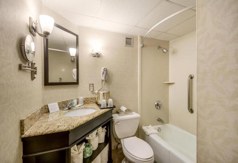 Номер Deluxe Кровать Кинг, Exton Hotel And Conference Center