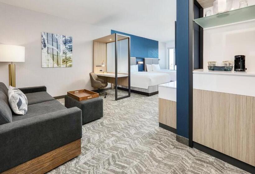 Люкс, Springhill Suites By Marriott Dallas Mansfield