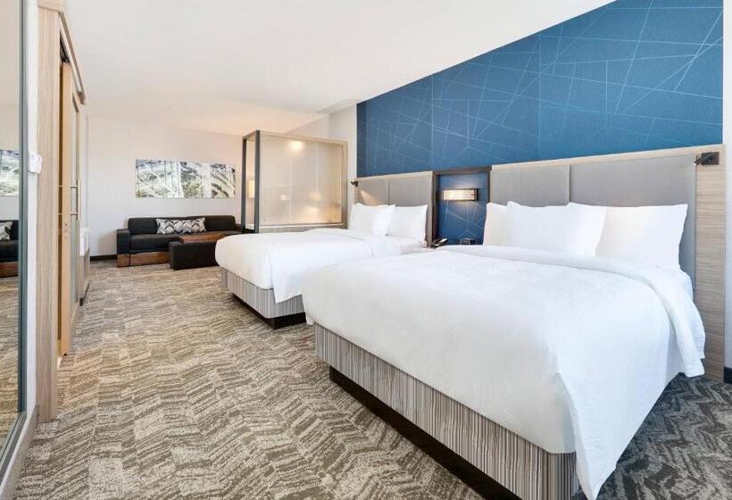 Люкс Адаптированный для Инвалидов, Springhill Suites By Marriott Dallas Mansfield