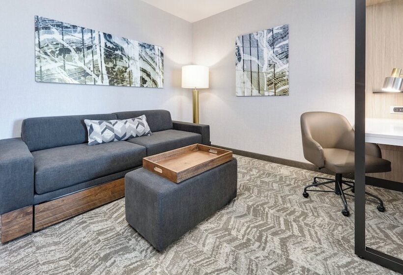 Люкс, Springhill Suites By Marriott Dallas Mansfield