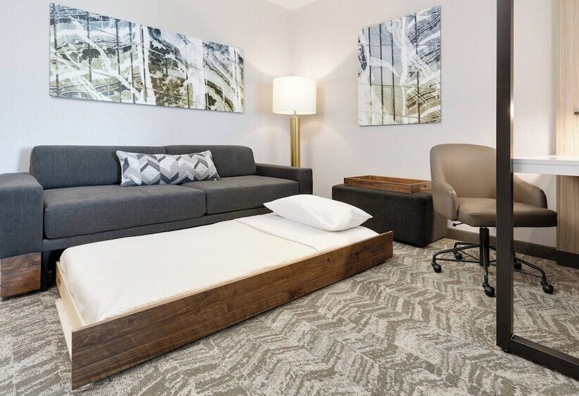Люкс, Springhill Suites By Marriott Dallas Mansfield