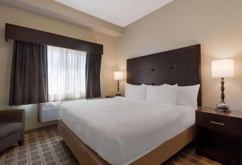 Люкс Кровать Кинг, Best Western University Inn And Suites