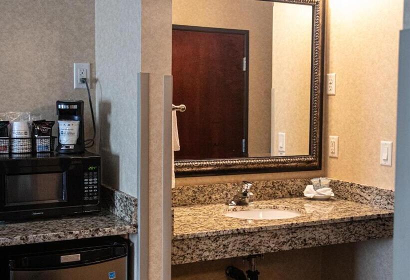 Номер Стандарт Кровать Кинг Адаптированный для Инвалидов, Best Western University Inn And Suites