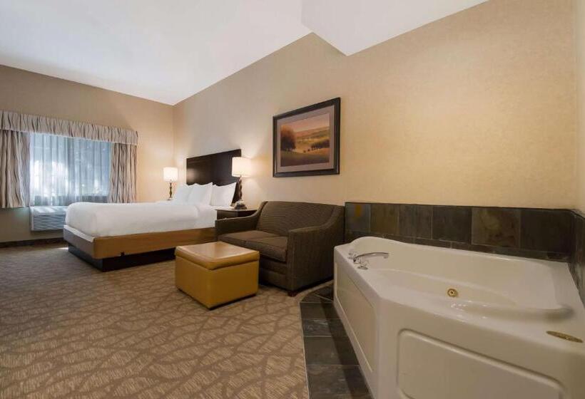 Номер Стандарт Кровать Кинг Адаптированный для Инвалидов, Best Western University Inn And Suites