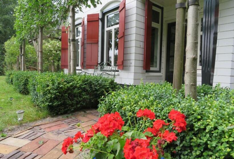 디럭스 룸, B&b Singelstate