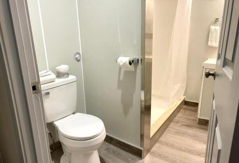 Студия Стандарт, Emerald Best Motel