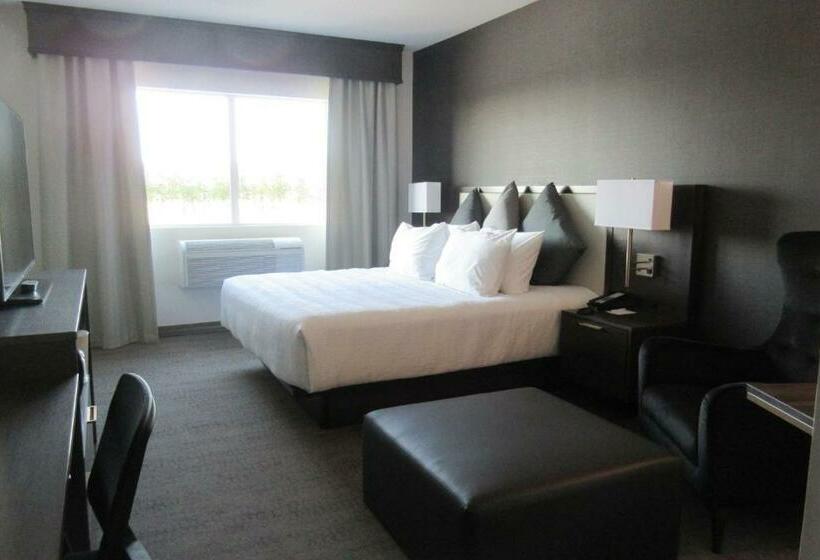 스탠다드 룸 킹사이즈 침대, Best Western Plus Morden