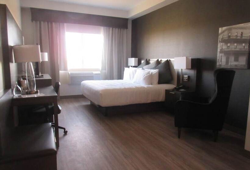 סוויטה מותאמת לאדם עם מוגבלויות, Best Western Plus Morden