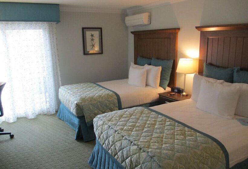 Номер Стандарт 2 Двуспальные Кровати, Best Western Premier Hotel Del Mar