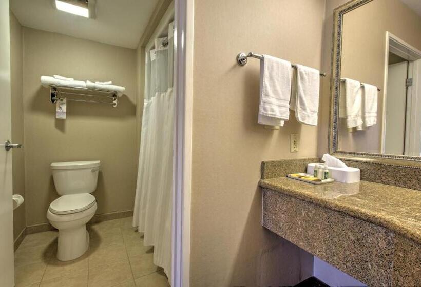 带大床的标准间, Burbank Inn And Suites