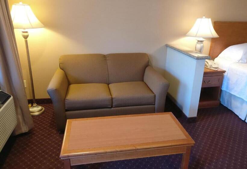 带大床的标准间, Burbank Inn And Suites