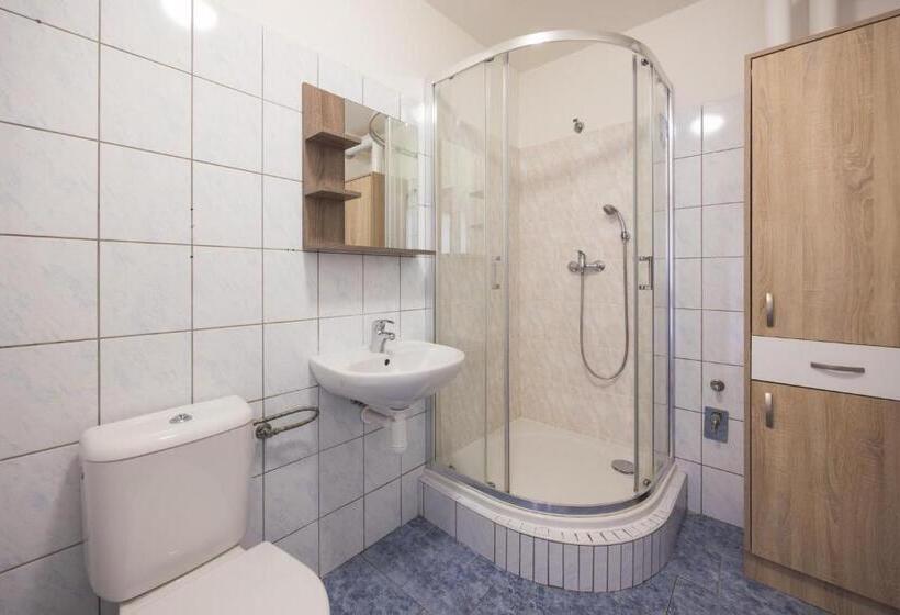 استودیوی استاندارد, A Studio Veselka Litomyšl