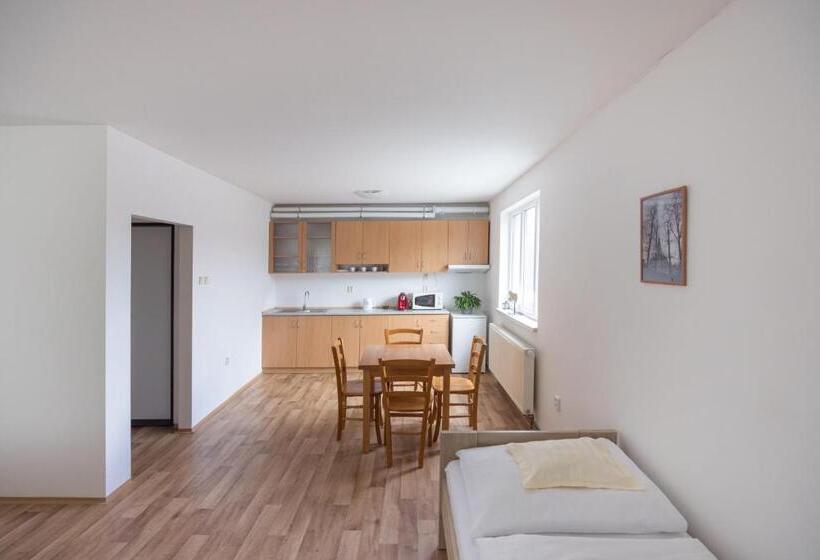 استودیوی استاندارد, A Studio Veselka Litomyšl