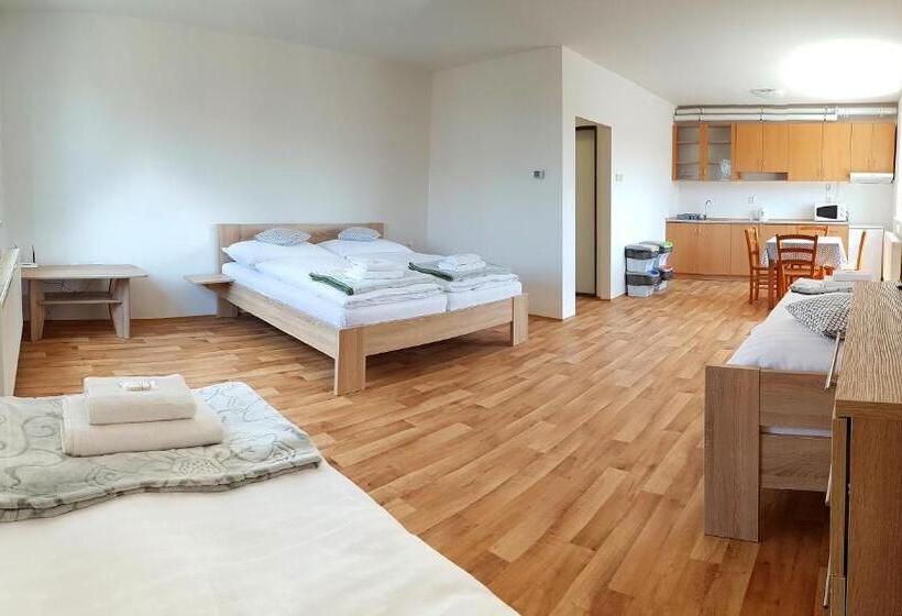 استودیوی استاندارد, A Studio Veselka Litomyšl