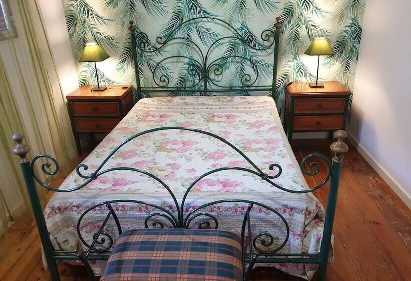 Quarto Economy, Solar Transmontano