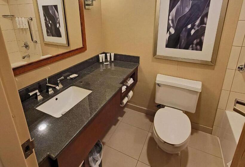 اتاق استاندارد با تخت بزرگ برای معلولان, Radisson Hotel Cedar Rapids