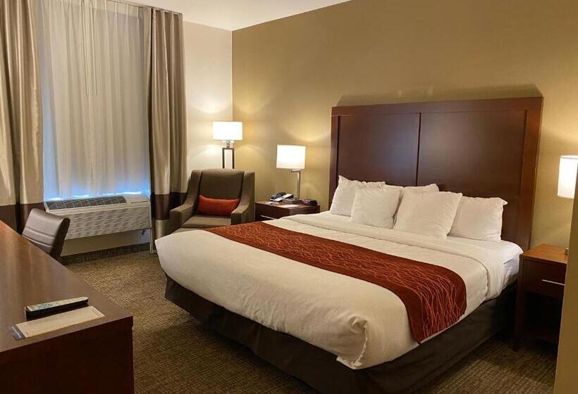 Номер Стандарт Кровать Кинг Адаптированный для Инвалидов, Comfort Inn Marina On The Monterey Bay