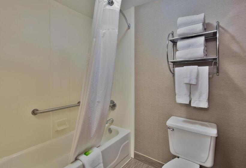 Номер Стандарт Кровать Кинг Адаптированный для Инвалидов, Holiday Inn Express Harrisburg Ne, An Ihg