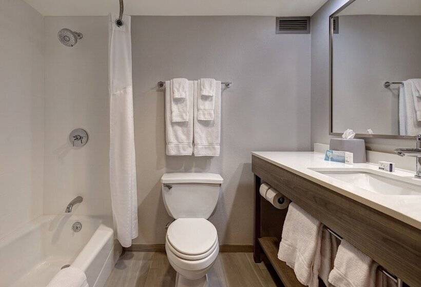 Люкс, Holiday Inn Express & Suites Central Omaha, An Ihg
