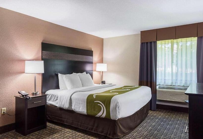 Стандартный Номер Кровать Кинг, Quality Inn & Suites