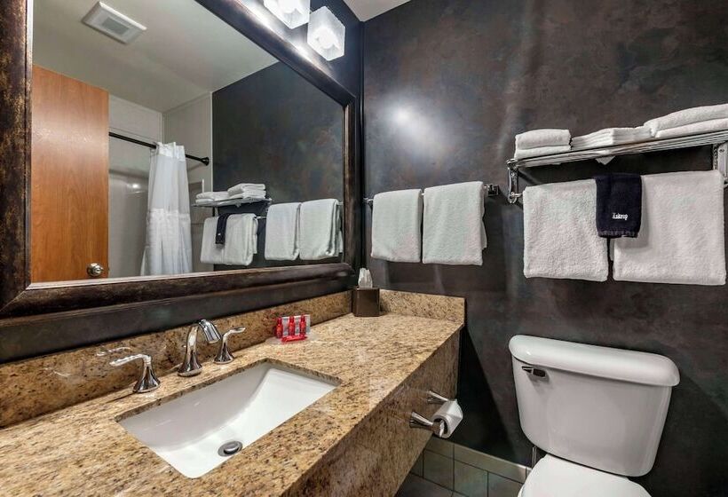 Номер Стандарт, Surestay Plus Hotel By Best Western Buffalo