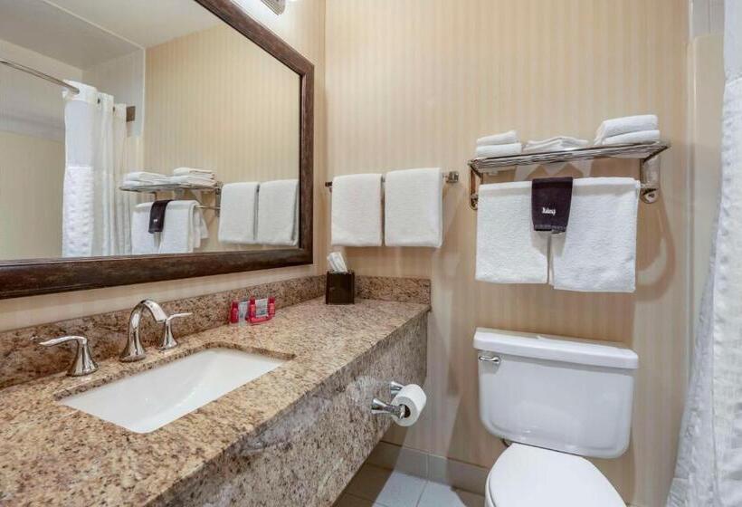 Номер Стандарт, Surestay Plus Hotel By Best Western Buffalo