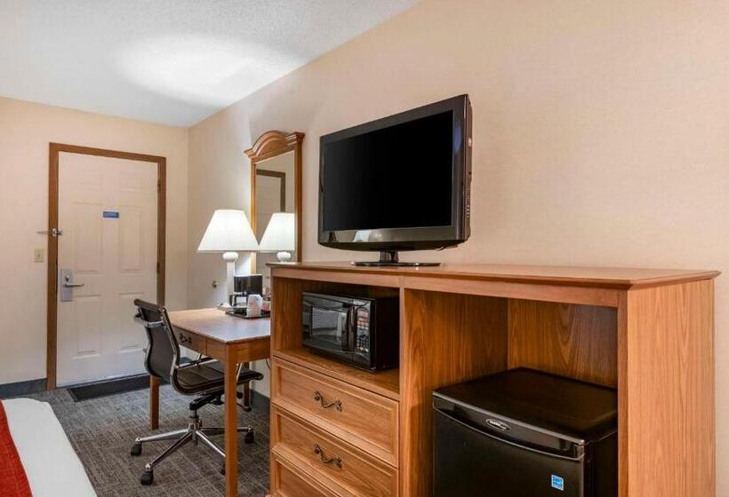 Номер Стандарт Кровать Кинг Адаптированный для Инвалидов, Surestay Plus Hotel By Best Western Buffalo