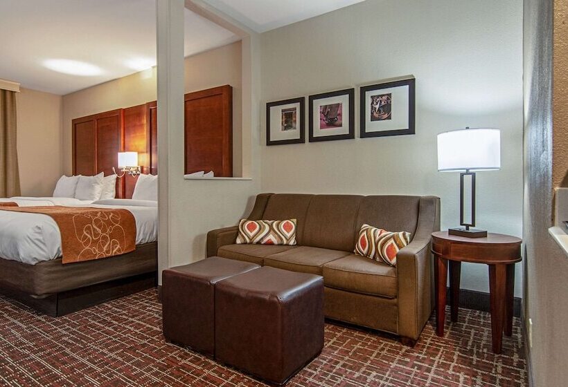 Люкс, Comfort Suites Nw Dallas Near Love Field