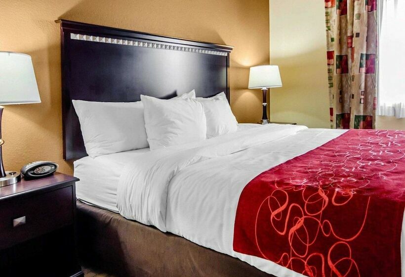 سوییت, Comfort Suites Louisville East