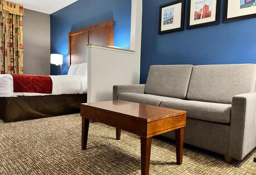 سوئیت با تخت بزرگ, Comfort Suites Louisville East