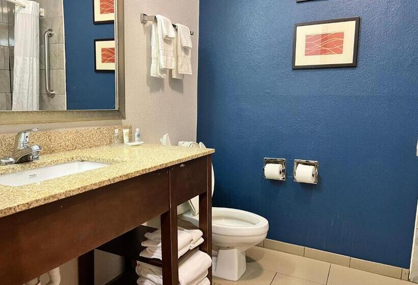سوئیت با تخت بزرگ, Comfort Suites Louisville East