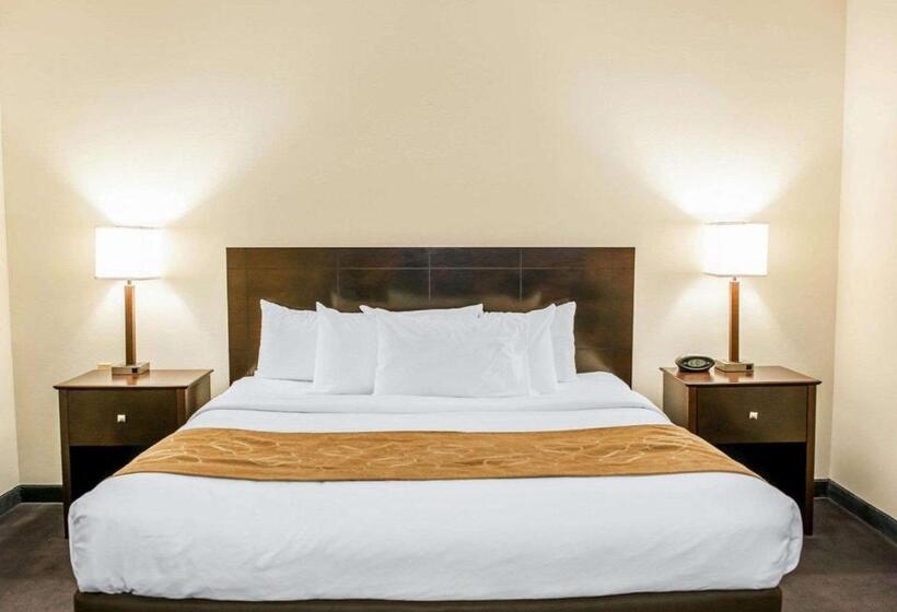 Suite Lit King, Comfort Suites Fort Wayne   Southwest