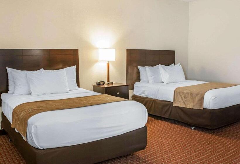 Suite, Comfort Suites Fort Wayne   Southwest