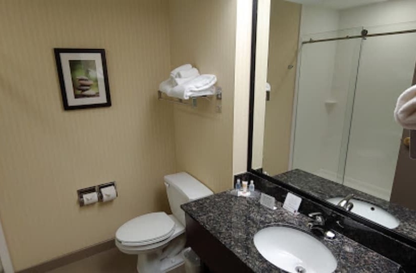 Suite, Comfort Suites Fort Wayne   Southwest