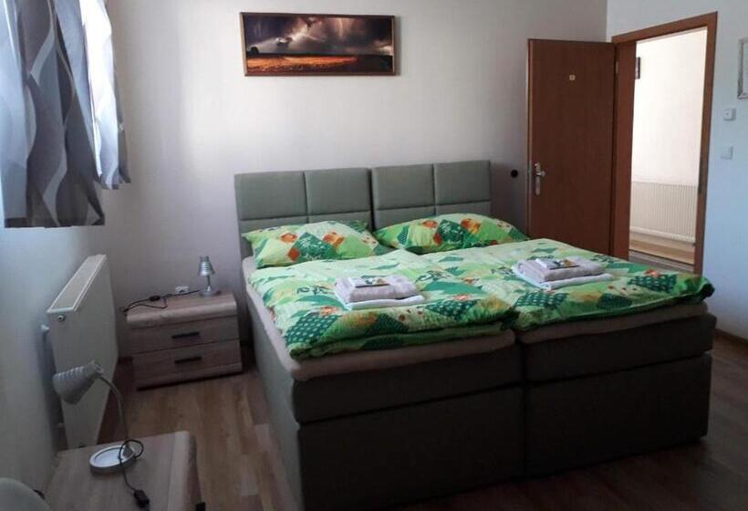 اتاق استاندارد, Penzion Na Hrazi
