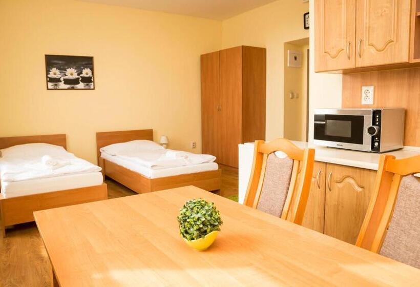 Номер Стандарт с Кухней, Penzion Burra
