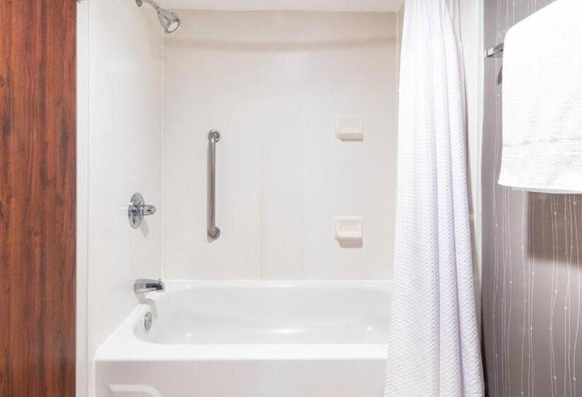 اتاق استاندارد با تخت بزرگ, Courtyard By Marriott Bloomington