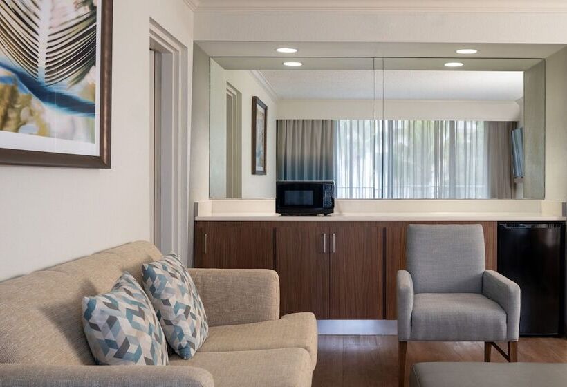 带2个双人床的标准工作室, Courtyard By Marriott   Naples