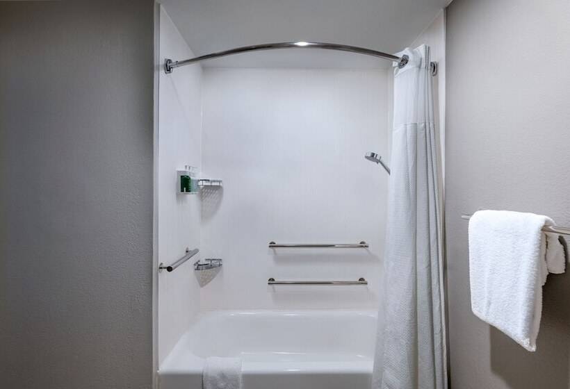 Suite, Courtyard By Marriott San Antonio Downtown