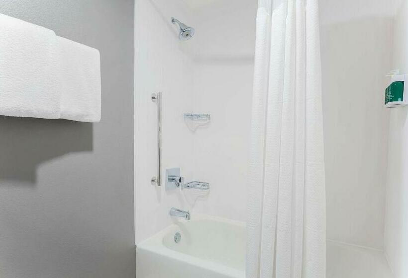 חדר סטנדרט עם מיטת קינג, Courtyard Tampa Brandon