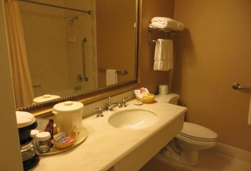 Pokój Typu Standard Łóżko King Przystosowany dla Osób Niepełnosprawnych, Cow Hollow Inn And Suites