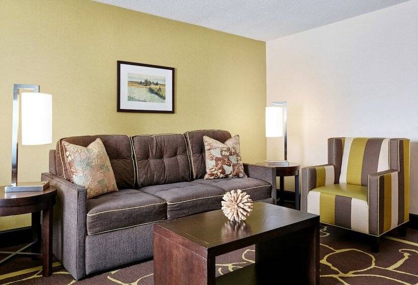 اتاق استاندارد برای معلولان, Doubletree By Hilton Charlotte Uptown
