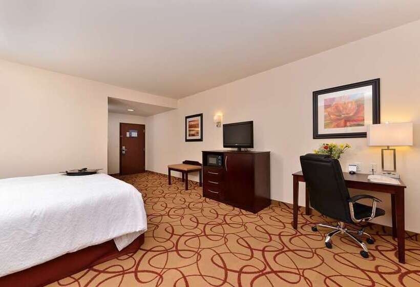 스탠다드 룸, Hampton Inn Odessa Trinity