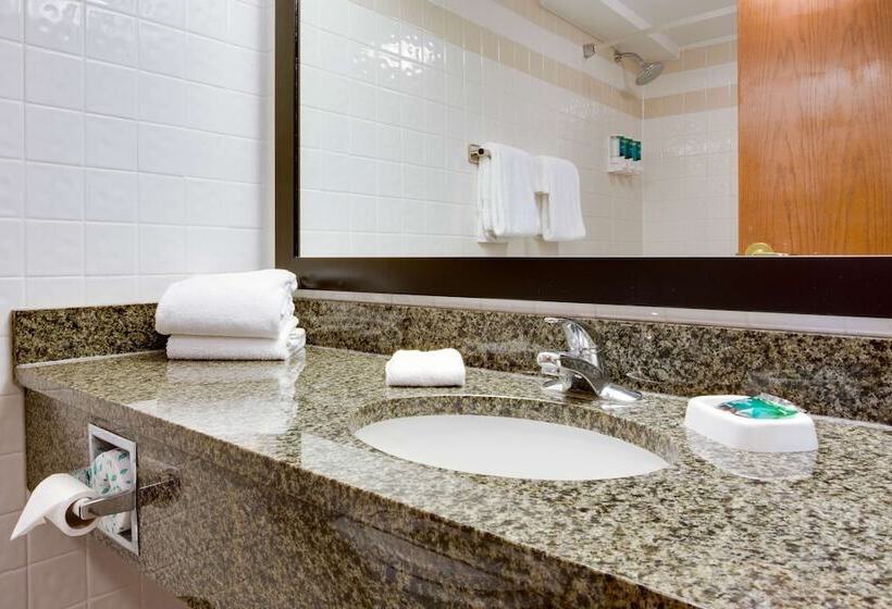 Suite, Drury Plaza Hotel San Antonio Airport