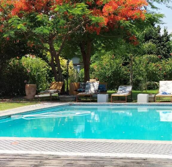 استودیوی لوکس, Sunbirds Chobe