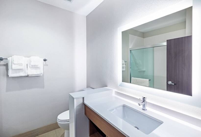 장애인을 위한 스위트, Holiday Inn Express & Suites Denton   Sanger By Ihg