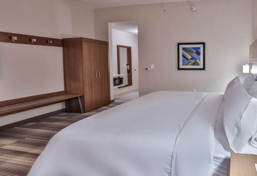 适合残疾人士使用的套间, Holiday Inn Express & Suites   Nashville Metrocenter Downtown, An Ihg