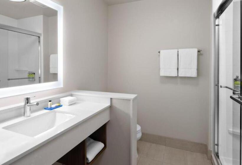 带大床的套房, Holiday Inn Express & Suites   Nashville Metrocenter Downtown, An Ihg