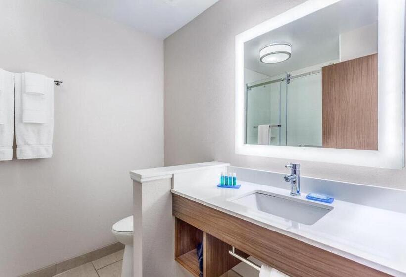 适合残疾人使用的标准间, Holiday Inn Express & Suites   Nashville Metrocenter Downtown, An Ihg